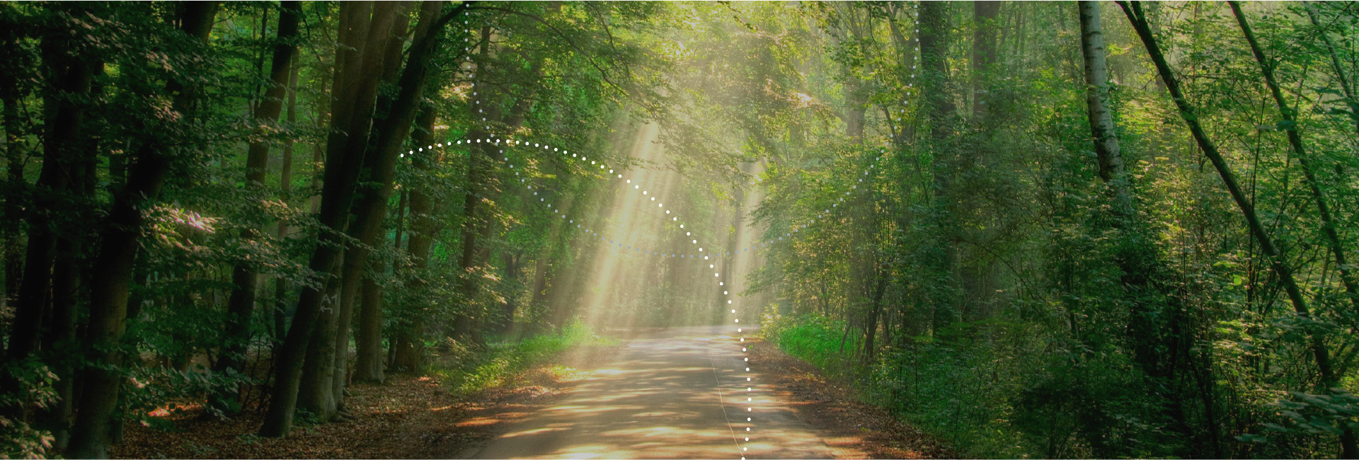 Sterbeversichung Headerbild